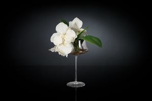 Eternity Coppa Minimes Vanda, Blumenarrangement auf Glasbecher